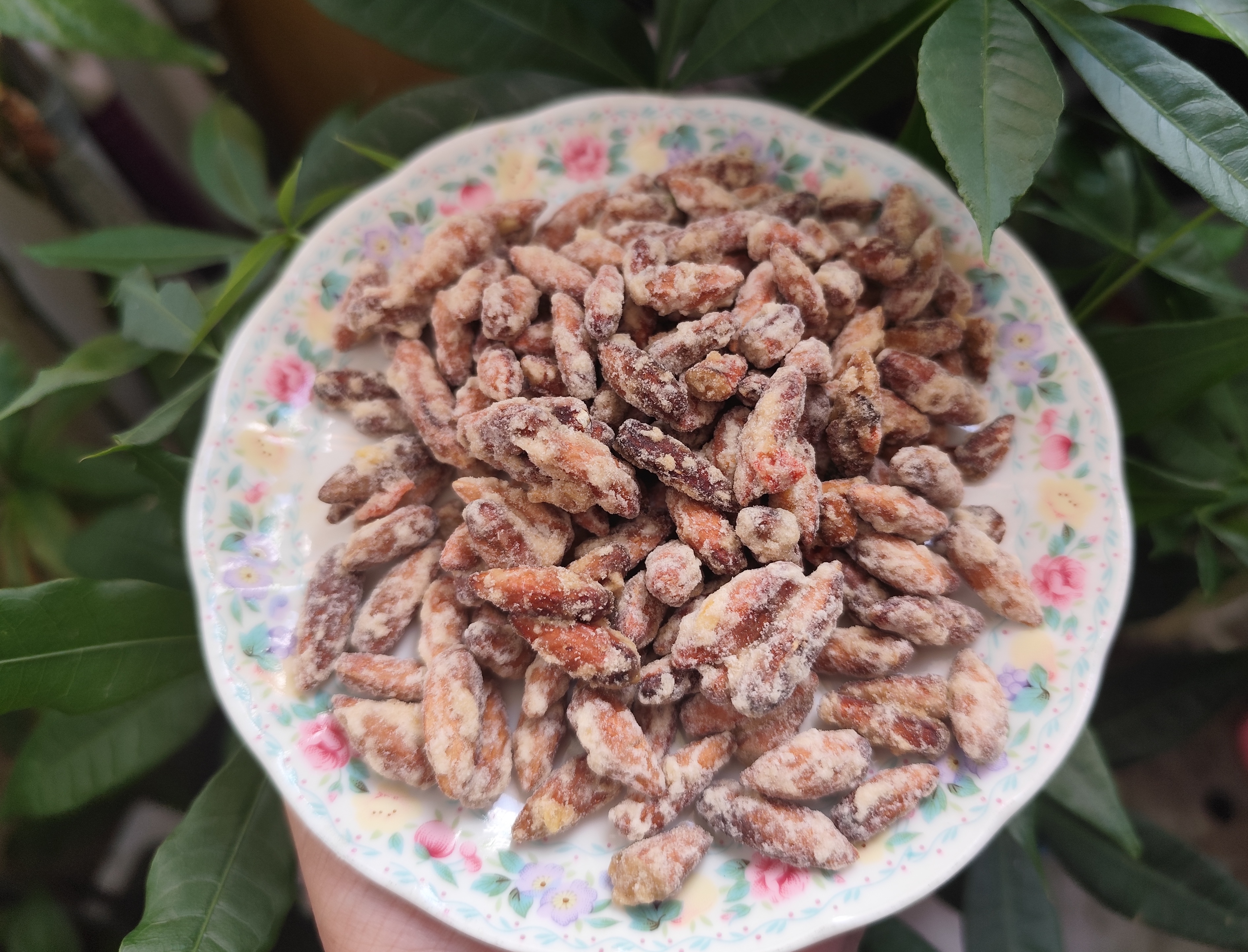 Mùi hạt bàng rang